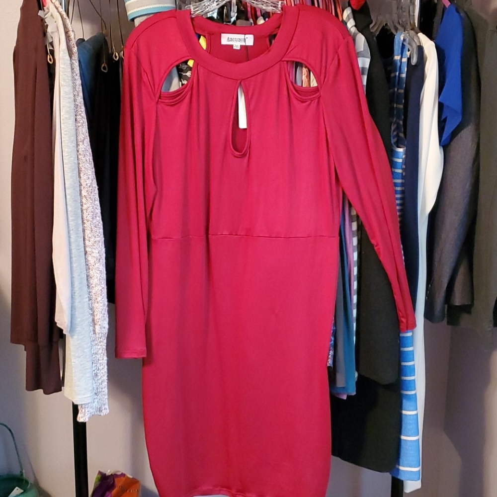 Red Body Con dress